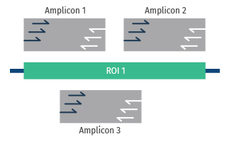 Amplicons around the region of interest